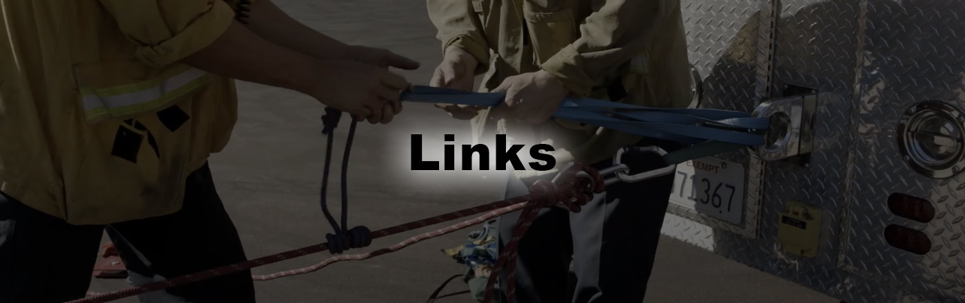 links